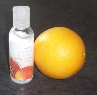 Read more about the article Caribbean Grapefruit & Orange Waterless Hand Cleanser