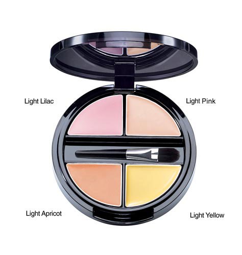 Read more about the article Jillian Dempsey Professional Corrector Palette