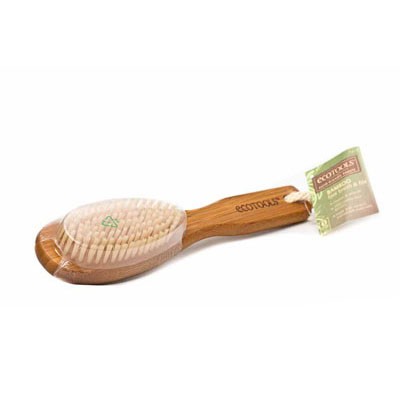 Read more about the article Ecotools BAMBOO BRISTLE BATH BRUSH