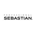 Read more about the article Sebastian Professional