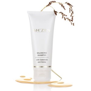 Read more about the article Sh’Zen Balancing Shampoo