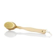 Read more about the article ELEMIS BODY DETOX SKIN BRUSH