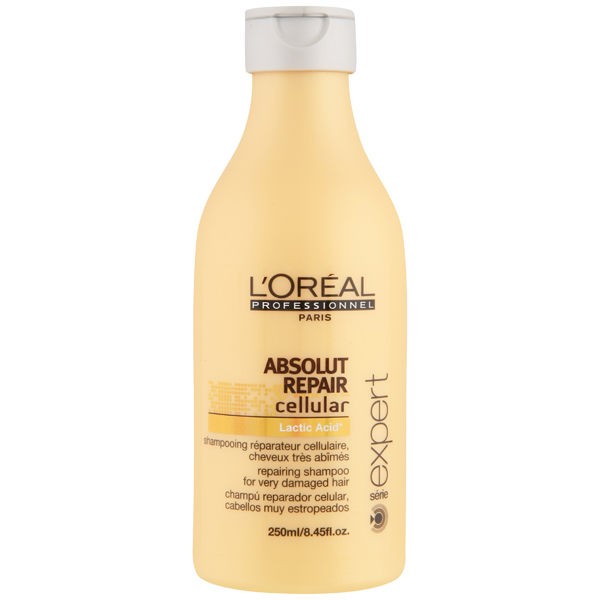 Read more about the article Loreal Professional Absolut Repair