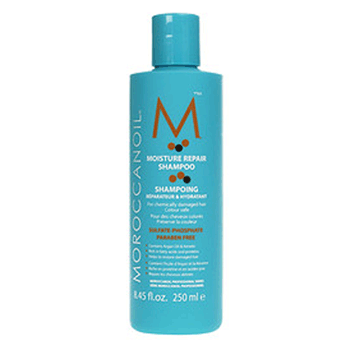 Read more about the article Morrocan Oil Shampoo