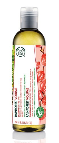 Read more about the article Rainforest Volume Shampoo for Fine Hair