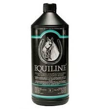 Read more about the article Equiline Shampoo