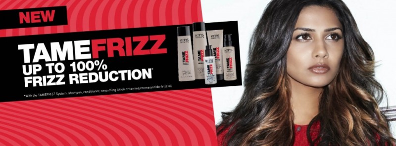 Read more about the article KMS TameFrizz  Shampoo