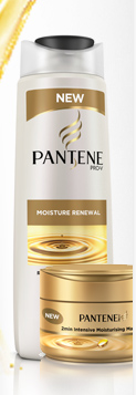 Read more about the article PantenePROV