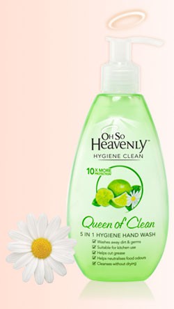 Read more about the article Oh So Heavenly Queen of Clean 5-in-1 Hand Wash