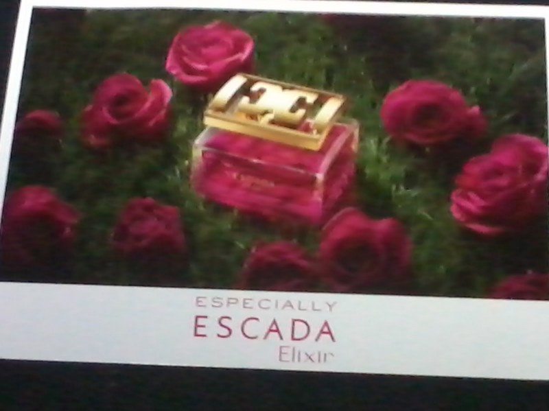 Read more about the article Especially Escada Elixir