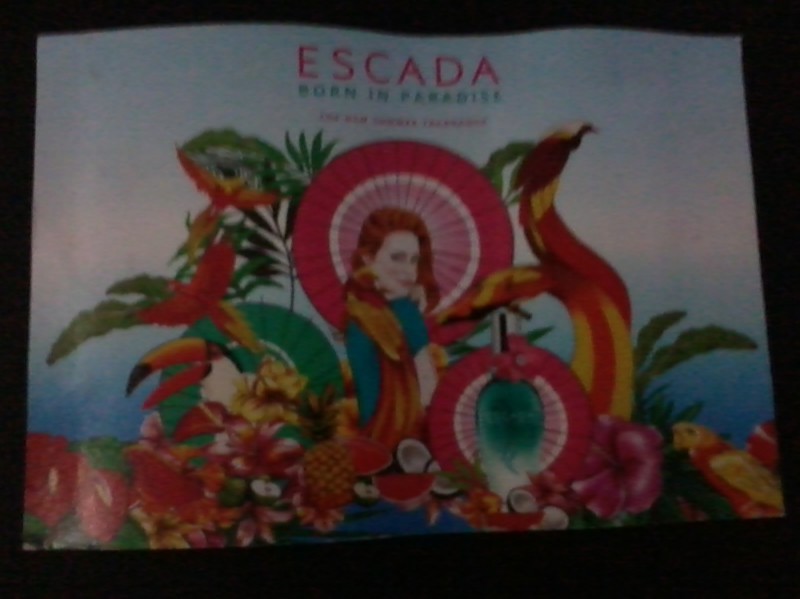 Read more about the article Escada Born In Paradise