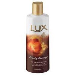 Read more about the article LUX (Body Wash and Soap)