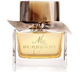 Read more about the article My Burberry