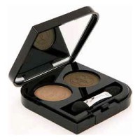 Read more about the article Annique Colour Caress Double Duo Eyeshadow