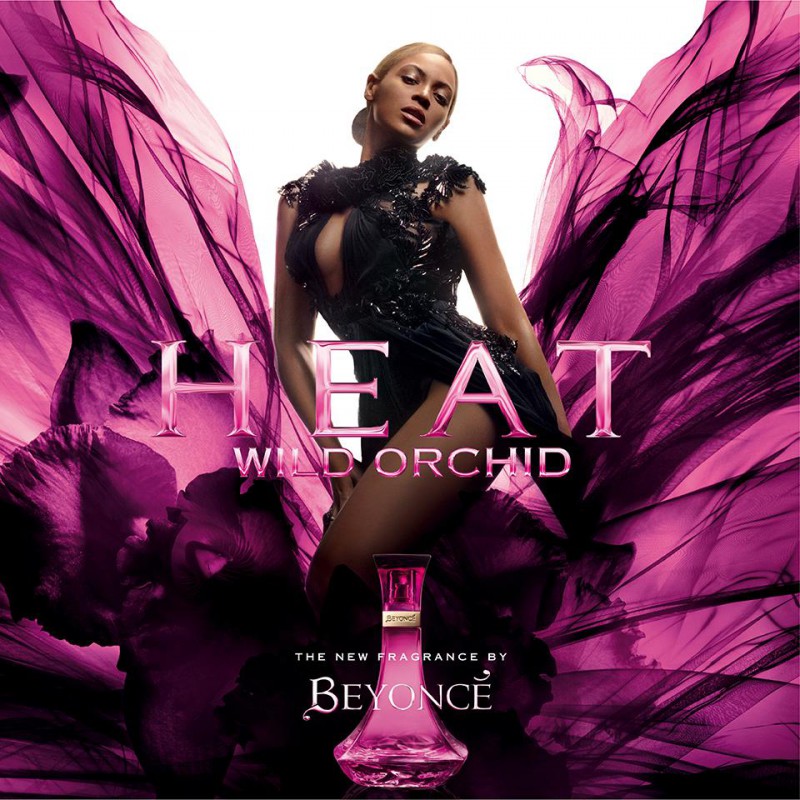 Read more about the article Beyonce Heat Wild Orchid